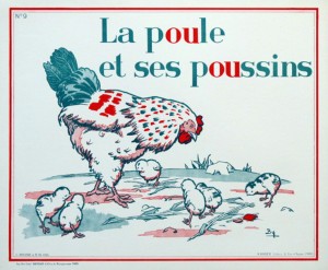 La Poule et ses Poussins